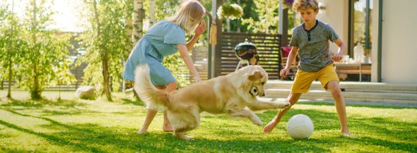 Polizza assicurativa per animali domestici